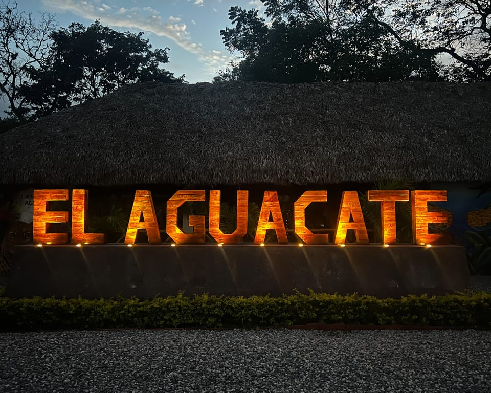1/15/25-Wednesday-Day 40 “The Avocado”